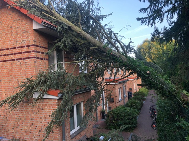 Sturmschäden an Gebäuden durch Baumwurf